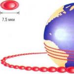 Kā palielināt sarkano asins šūnu skaitu