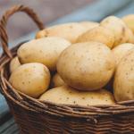 ジャガイモには何が含まれていますか：有益な特性と薬効成分